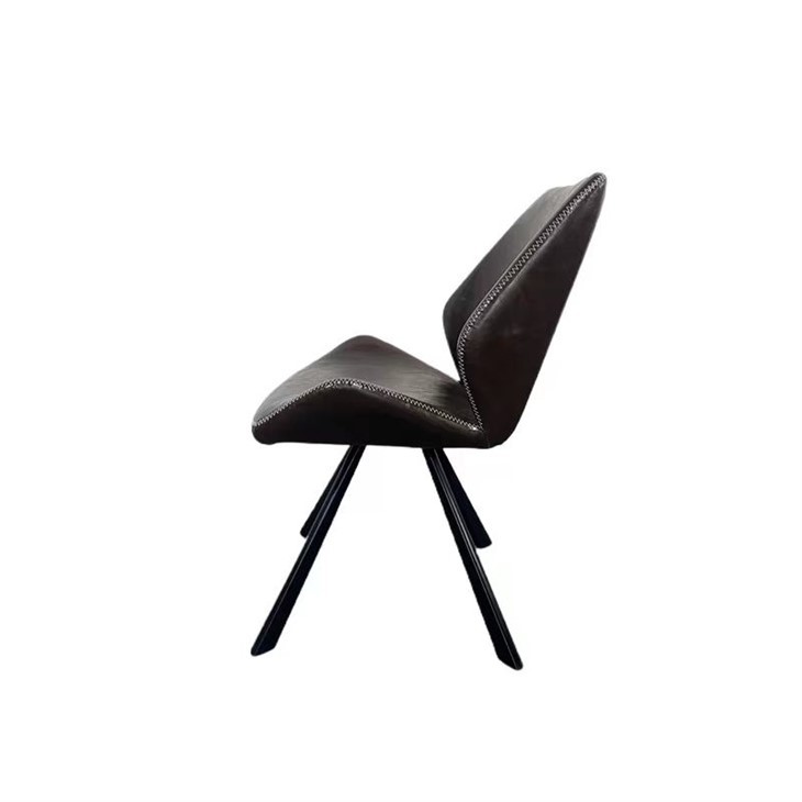 Modern Dining Chairs